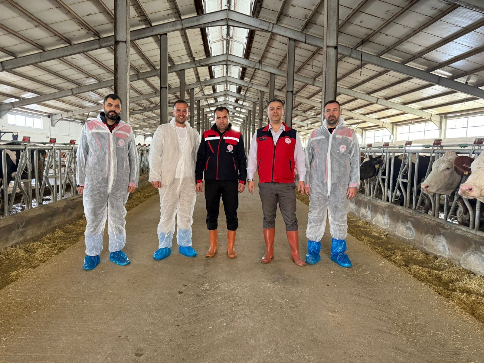 Afyonkarahisar'da Kocaoğlu Hayvancılık İşletmesi, Hastalıktan Ari İşletme Sertifikası Aldı