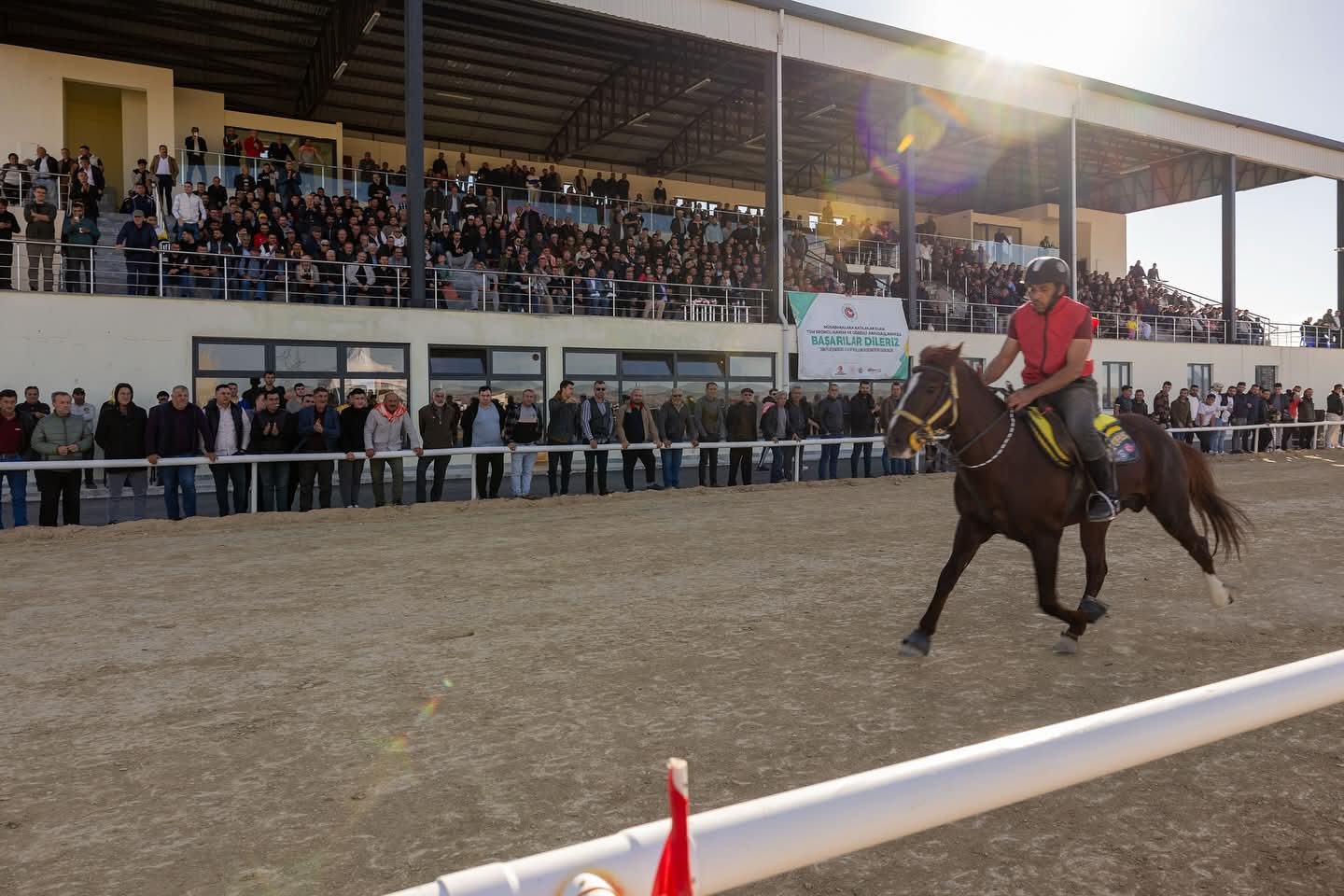 Asırlık Rahvan At Geleneği Afyonkarahisar'da Yeniden Hayat Buldu