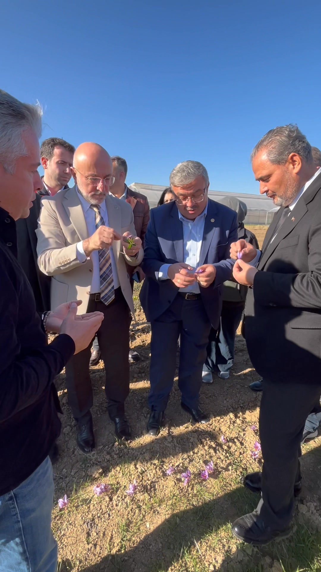 Afyonkarahisar Sağlık Bilimleri Üniversitesi Safran Deneme Hasadı Yaptı