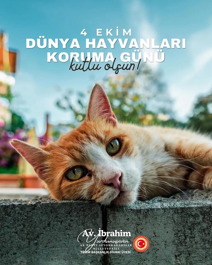 Yeryüzünü Can Dostlarımızla Paylaşmanın Sorumluluğu