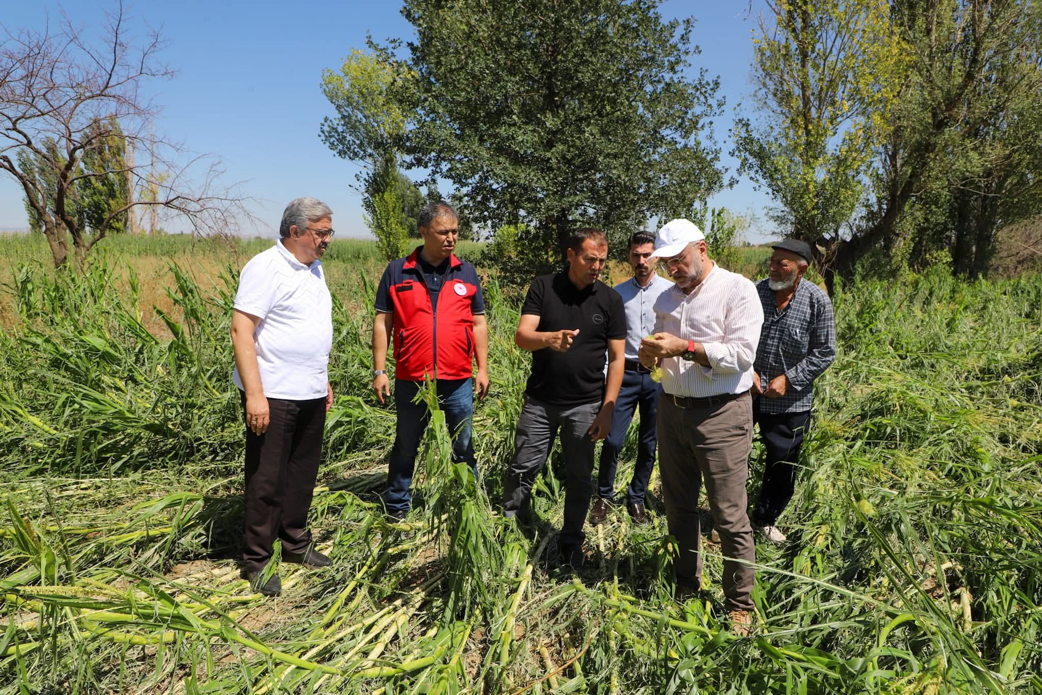 Nuribeyli Çiftçilere Dolu Zararında Destek Ziyareti