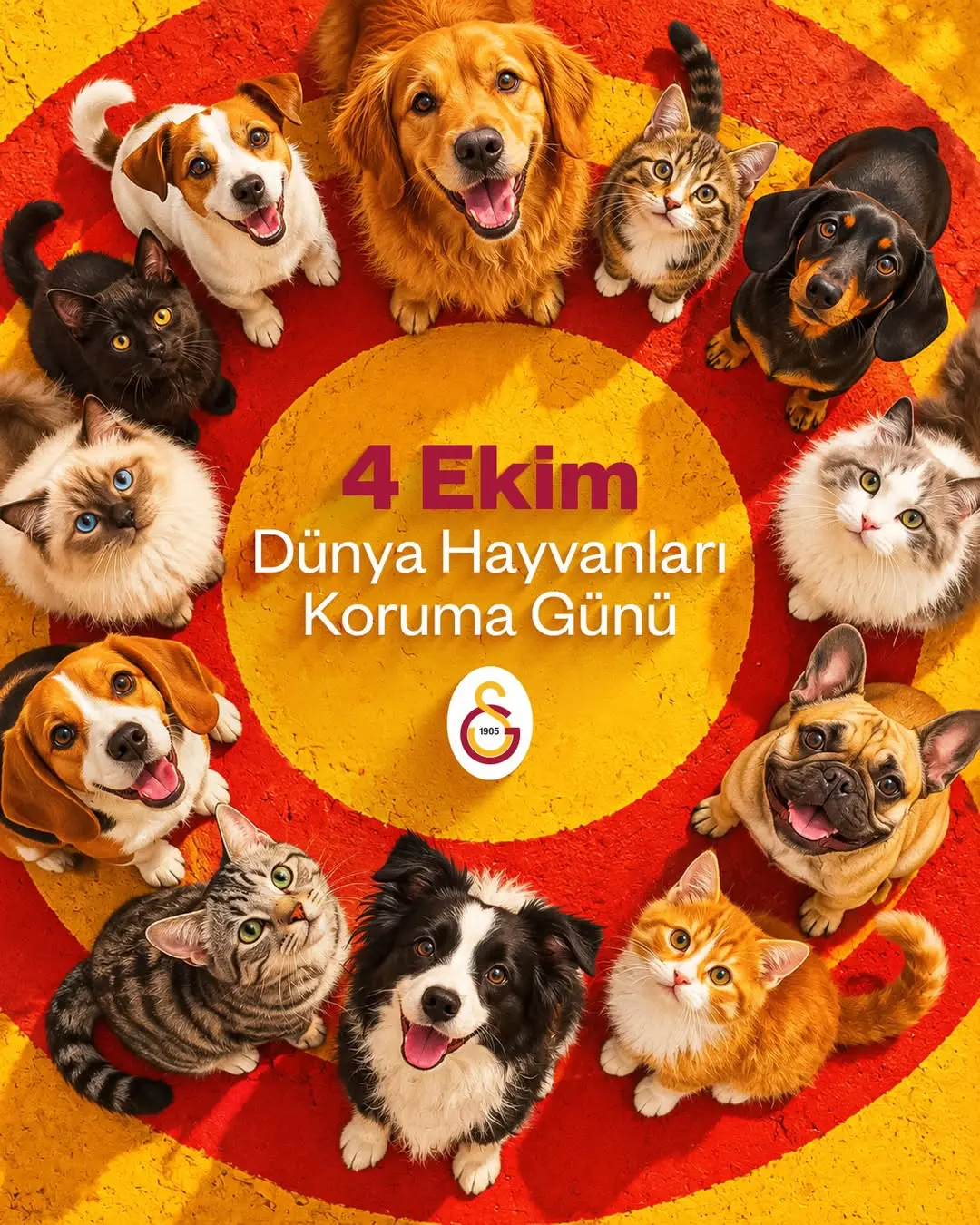 Dünyayı Paylaştığımız Canlıların Yaşam Haklarını Korumak İnsanlık Görevidir