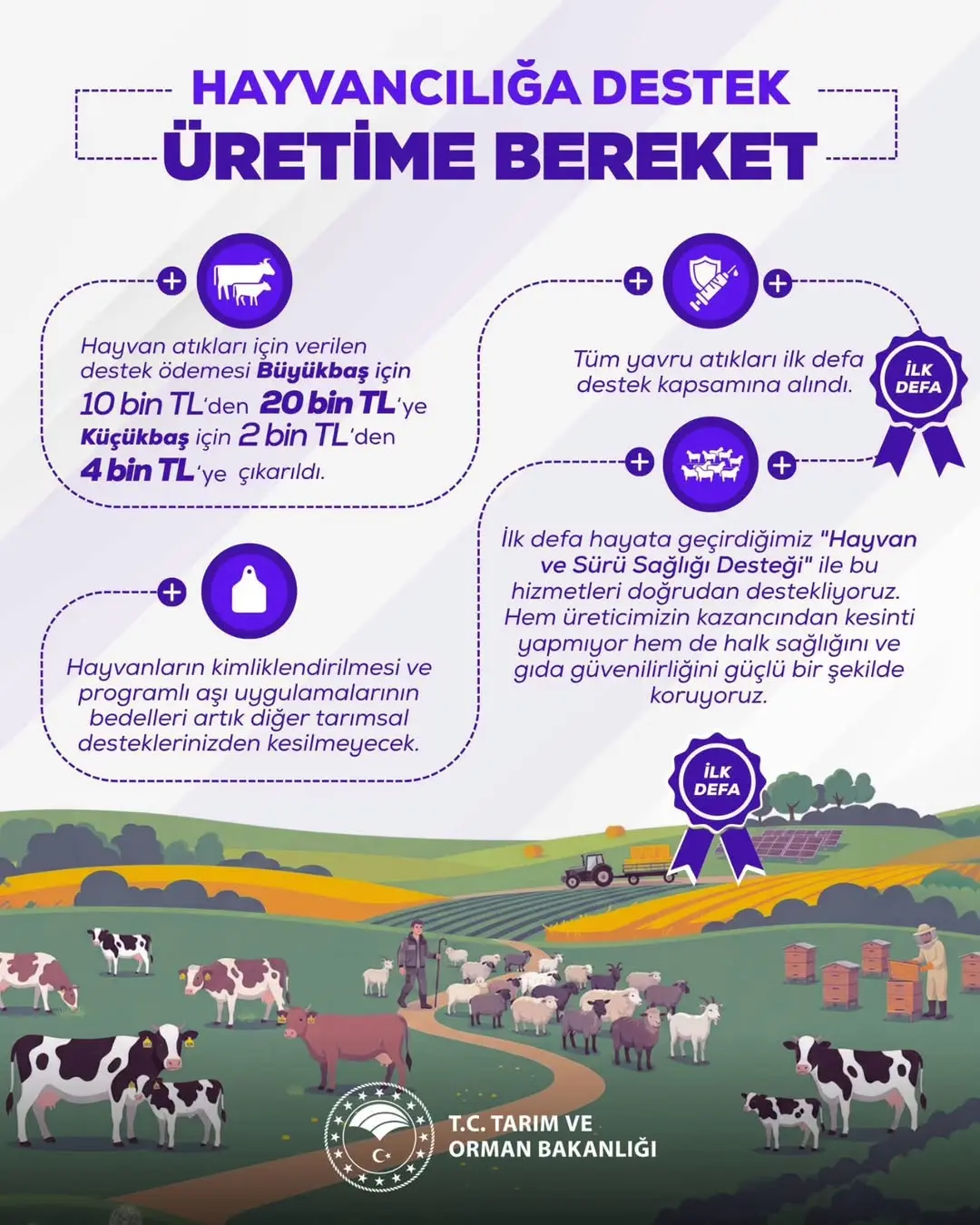 Hayvancılıkta Yeni Dönem: Hayvan ve Sürü Sağlığı Desteği İlk Kez Uygulanacak
