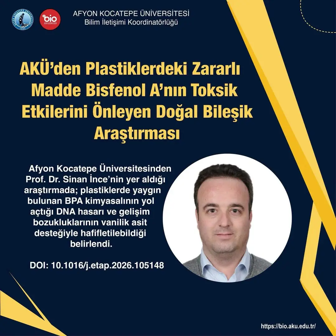 Plastiklerdeki Zararlı Madde Bisfenol A’nın Toksik Etkilerini Önleyen Doğal Bileşik Araştırması