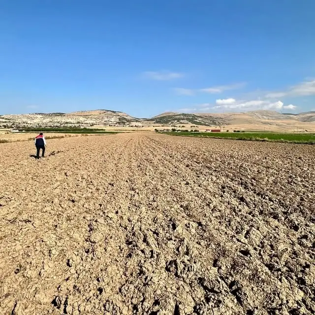 İthal hayvan kontrolleri ve işletme ziyaretleri sürüyor
