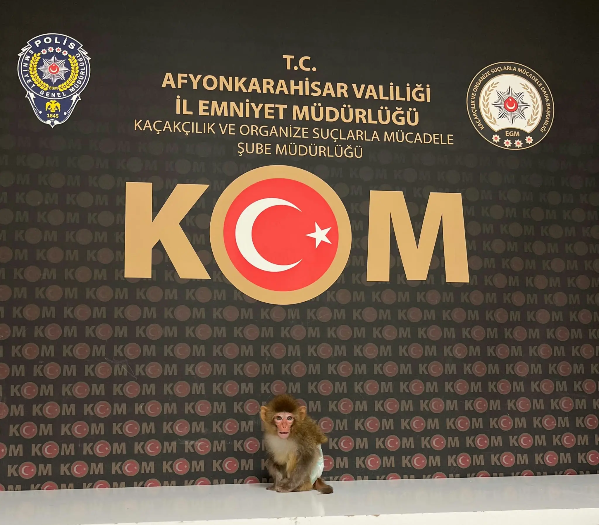 Kaçakçılıkla Mücadele Operasyonu