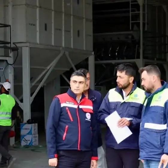 Tohumluk ayçiçeği üretim süreci takip ediliyor