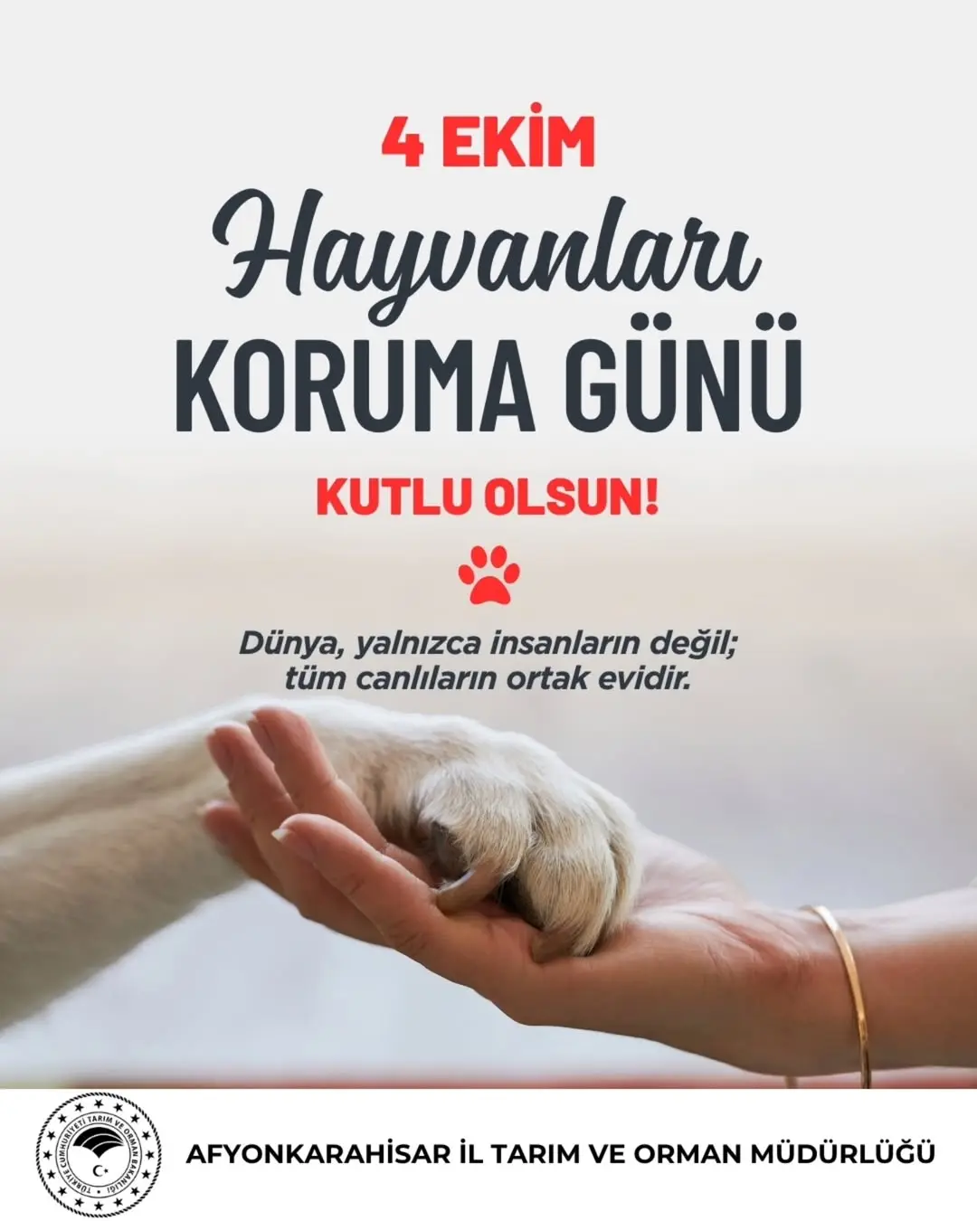 4 Ekim Hayvanları Koruma Günü Kutlu Olsun! - Afyonkarahisar İl Tarım Ve Orman Müdürlüğü
