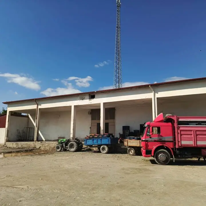 Dereçine'de Soğuk Hava Deposu Duyurusu